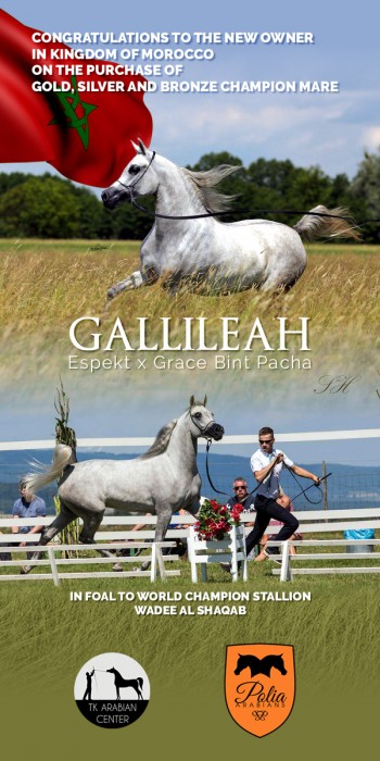 Gallileah